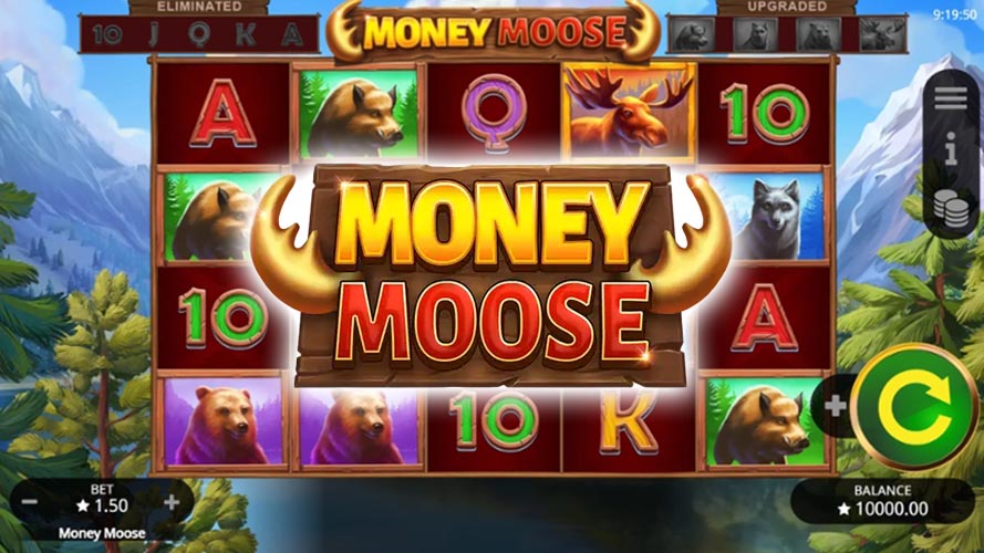 Money Moose Slot Review